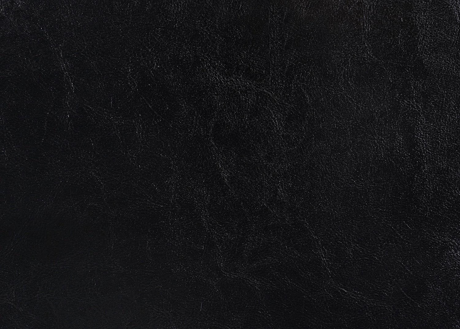 Crown Mark Erin Faux Leather Bed, Black, Queen - Image 6