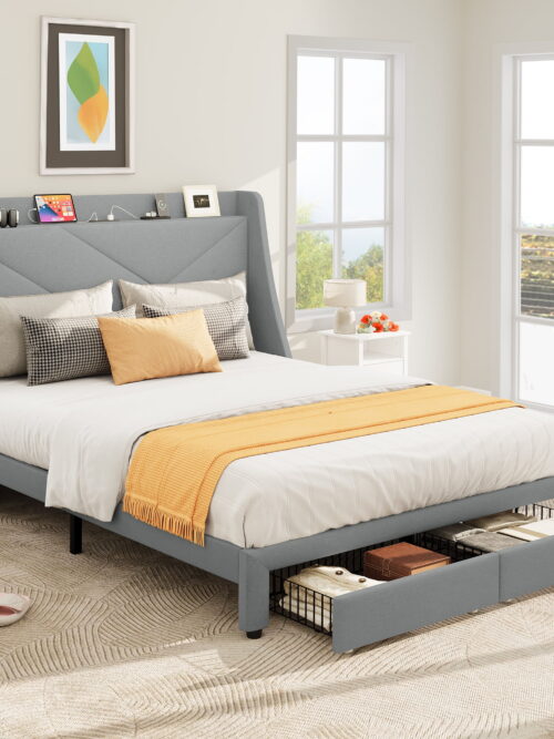 Dextrus Queen Size Bed Frame with Type-C & USB Port and 2 Drawers,No Box Spring Needed, Grey